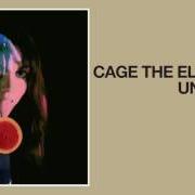 Le texte musical PUNCHIN' BAG de CAGE THE ELEPHANT est également présent dans l'album Unpeeled (2017)