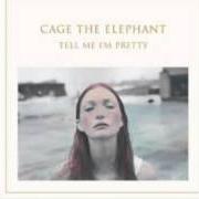 Le texte musical MESS AROUND de CAGE THE ELEPHANT est également présent dans l'album Tell me i'm pretty (2015)