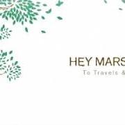 Le texte musical GOODBYE VERSAILLES de HEY MARSEILLES est également présent dans l'album To travels & trunks (2010)