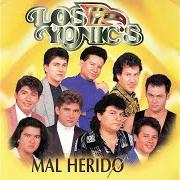 Le texte musical ENTRE LILAS Y ROSAS de LOS YONIC'S est également présent dans l'album Mal herido (1995)