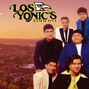 Le texte musical ARREPENTIDO ESTOY de LOS YONIC'S est également présent dans l'album Enamorados (1994)