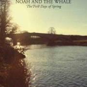 Le texte musical OUR WINDOW de NOAH AND THE WHALE est également présent dans l'album The first days of spring
