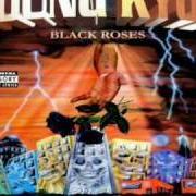 Le texte musical HAIL OF BULLETS de YOUNG KYOZ est également présent dans l'album Black roses (2000)