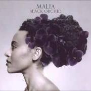Le texte musical MY BABY JUST CARES FOR ME de MALIA est également présent dans l'album Black orchid (2012)