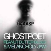 Le texte musical LIIINES de GHOSTPOET est également présent dans l'album Peanut butter blues and melancholy jam (2011)