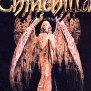 Le texte musical NIGHTTRAIN OF DEATH de CHINCHILLA est également présent dans l'album Last millennium (2002)