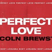 Le texte musical WHO AM I de LINCOLN BREWSTE est également présent dans l'album Perfect love (2020)