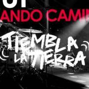 Le texte musical HAY DÍAS de EFECTO PASILLO est également présent dans l'album Tiembla la tierra (2015)