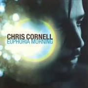 Le texte musical FOLLOW MY WAY de CHRIS CORNELL est également présent dans l'album Euphoria morning (1999)