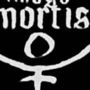 Le texte musical TRANSCENDENTAL de IMAGO MORTIS est également présent dans l'album Transcendental (2006)