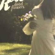 Le texte musical DEAD FLOWERS de CAITLIN ROSE est également présent dans l'album Dead flowers (2010)