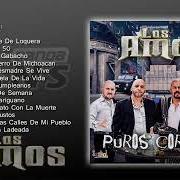 Le texte musical LOS GALLEROS de LOS AMOS DE NUEVO LEON est également présent dans l'album Los dos michoacanos (2013)