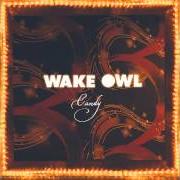 Le texte musical DAYS IN THE SEA de WAKE OWL est également présent dans l'album The private world of paradise (2014)