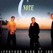 Le texte musical DIFFERENT KIND OF LOVE de C-NOTE est également présent dans l'album Different kind of love (1999)