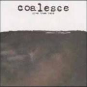 Le texte musical THIS IS THE LAST de COALESCE est également présent dans l'album Give them rope (2000)