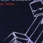 Le texte musical RADIO TSUNAMI de A TOYS ORCHESTRA est également présent dans l'album Cuckoo boohoo (2004)