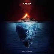 Le texte musical HEY GRINGO de KALEO est également présent dans l'album Surface sounds (2021)
