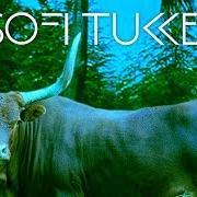 Le texte musical DÉJÀ VU AFFAIR de SOFI TUKKER est également présent dans l'album Soft animals (2016)