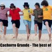 Le texte musical SEXPERIENCED de CACHORRO GRANDE est également présent dans l'album O melhor do cachorro grande (2005)