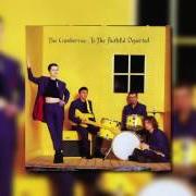 Le texte musical THE PICTURE I VIEW de THE CRANBERRIES est également présent dans l'album To the faithful departed (1995)