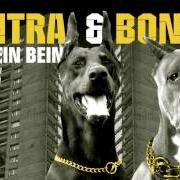 Le texte musical UNTERM STRICH de KONTRA K est également présent dans l'album Auf teufel komm raus - ep (2013)