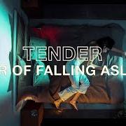 Le texte musical HANDMADE EGO de TENDER est également présent dans l'album Fear of falling asleep (2019)