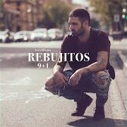 Le texte musical UN BONITO FINAL de LOS REBUJITOS est également présent dans l'album El niño pena (2010)