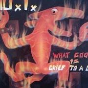 Le texte musical NO MISTAKES de D.I. est également présent dans l'album What good is grief to a god? (1988)