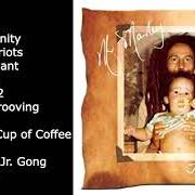 Le texte musical ONE MORE CUP OF COFFEE de DAMIAN MARLEY est également présent dans l'album Mr. marley