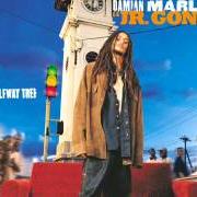 Le texte musical EDUCATED FOOLS de DAMIAN MARLEY est également présent dans l'album Halfway tree (2001)