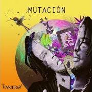 Le texte musical LA CALLES SON MIAS de VAKERO est également présent dans l'album El album (2011)