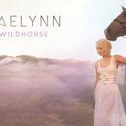 Le texte musical SAY de RAELYNN est également présent dans l'album Wildhorse (2017)