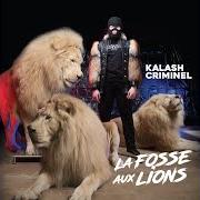 Le texte musical À DIX de KALASH CRIMINEL est également présent dans l'album La fosse aux lions (réédition) (2019)