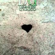 Le texte musical VAN DAMME (SADDAM) de DARGEN D'AMICO est également présent dans l'album D' (parte prima) (2010)