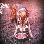 Le texte musical HELL YEAH de RAG'N'BONE MAN est également présent dans l'album Wolves (2014)