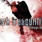Le texte musical HOURS PASSED IN EXILE de DARK TRANQUILLITY est également présent dans l'album Damage done (2002)