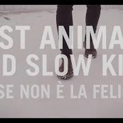 Le texte musical GIOVANE de FAST ANIMALS AND SLOW KIDS est également présent dans l'album Forse non e' la felicità (2017)