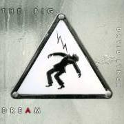 Le texte musical THE BALLAD OF HOLLIS BROWN de DAVID LYNCH est également présent dans l'album The big dream (2013)