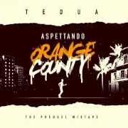 Le texte musical STEP BY STEP de TEDUA est également présent dans l'album Orange county mixtape (2016)