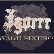 Le texte musical PROBLÈME D'ÉMOTION de IGORRR est également présent dans l'album Savage sinusoid (2017)