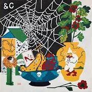 Le texte musical BLACK WIDOW SPIDER de PARQUET COURTS est également présent dans l'album Sympathy for life (2021)