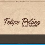 Le texte musical MOSAICO VILLAZONISTA de FELIPE PELÁEZ est également présent dans l'album Felipe peláez y sus amigos: 10 años (2015)