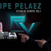 Le texte musical TE AMO de FELIPE PELÁEZ est également présent dans l'album Felipe peláez - 30 grandes éxitos (2014)