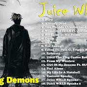 Le texte musical YOU WOULDN'T UNDERSTAND de JUICE WRLD est également présent dans l'album Fighting demons (2021)