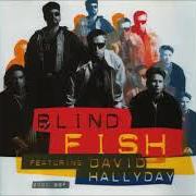 Le texte musical RIVERS OF RAIN de DAVID HALLYDAY est également présent dans l'album 2000 bbf (1994)