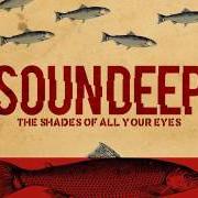Le texte musical NOW AND AGAIN de SOUNDEEP est également présent dans l'album The shades of all your eyes (2018)