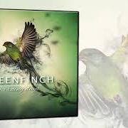 Le texte musical WAVES de GREENFINCH est également présent dans l'album From soul to souls (2019)