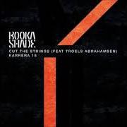 Le texte musical CONFESSIONS de BOOKA SHADE est également présent dans l'album Cut the strings (2018)