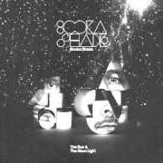 Le texte musical PSYCHAMELEON de BOOKA SHADE est également présent dans l'album The sun & the neon light (2008)
