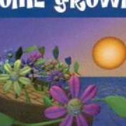 Le texte musical SHE SAID... de HOME GROWN est également présent dans l'album That's business (1995)